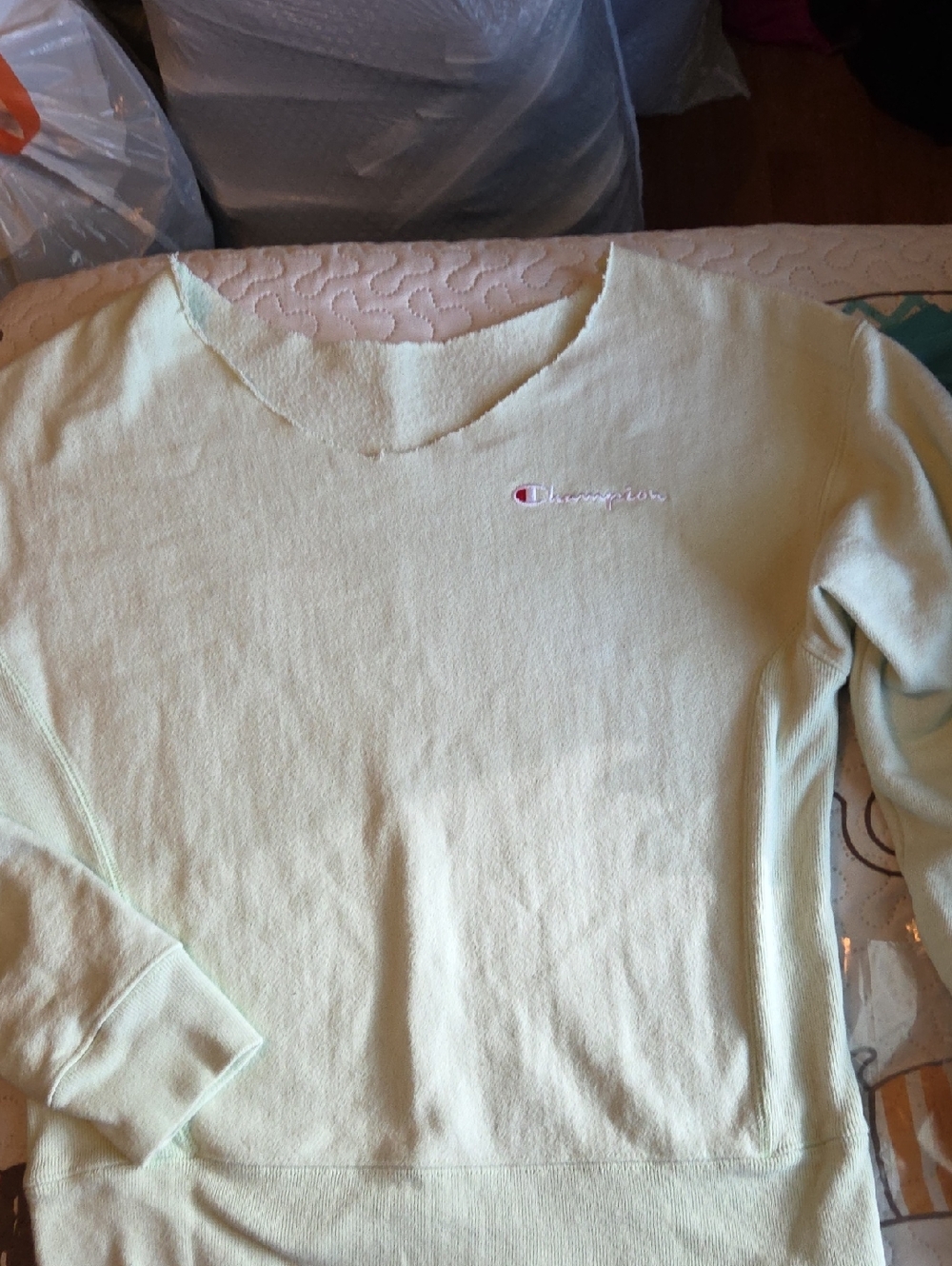 Champion Pastel Green V-Neck Pullover Sweatshirt